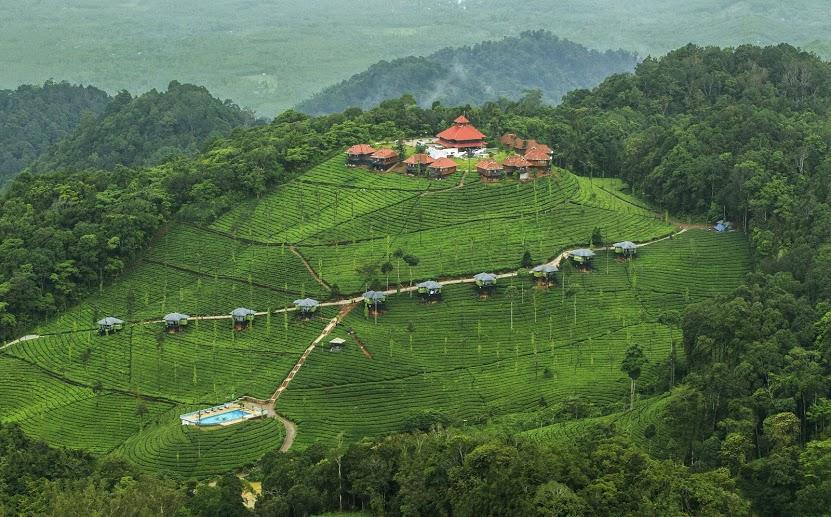 Wild Planet Jungle Resort Devāla Exterior foto