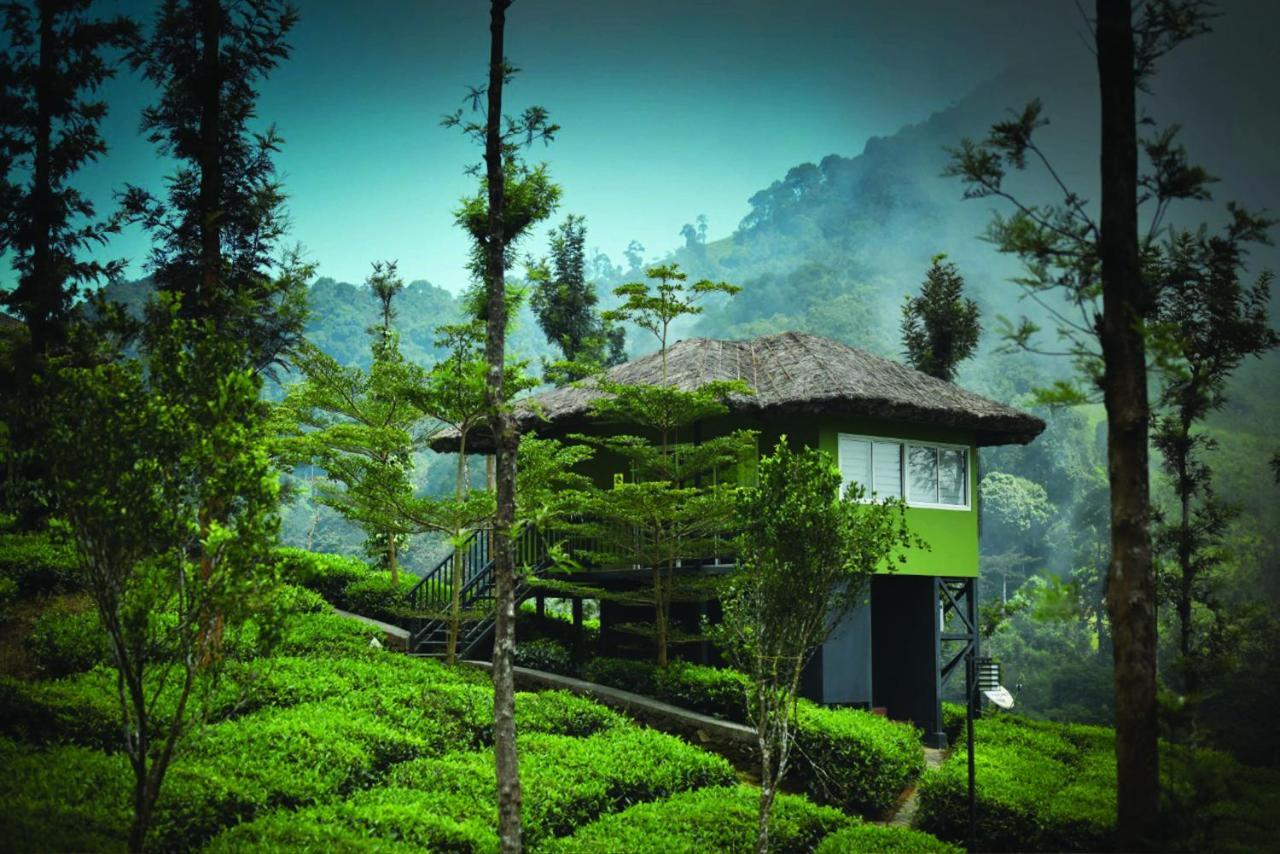 Wild Planet Jungle Resort Devāla Exterior foto